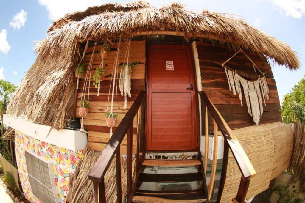 Jungla Bacalar Apartment Luaran gambar