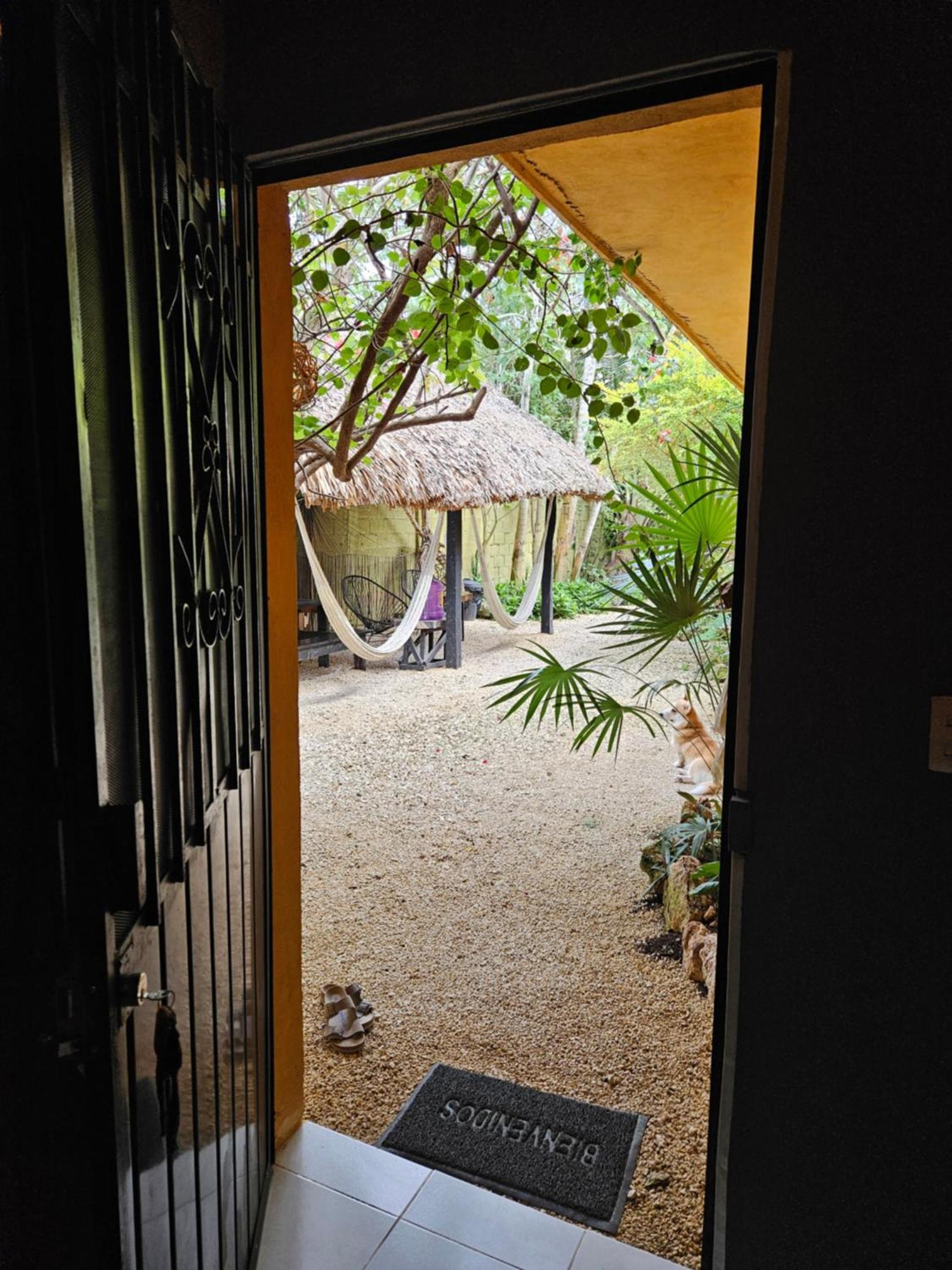 Jungla Bacalar Apartment Luaran gambar