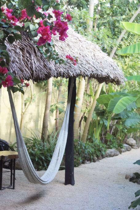 Jungla Bacalar Apartment Luaran gambar