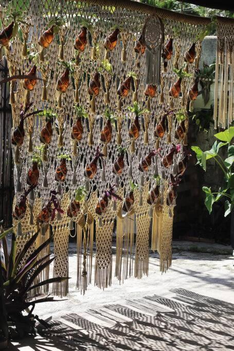 Jungla Bacalar Apartment Luaran gambar