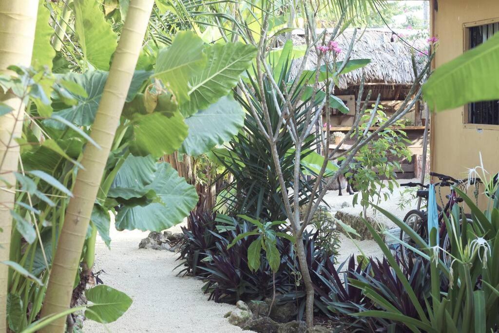 Jungla Bacalar Apartment Luaran gambar