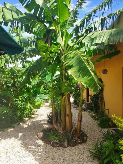 Jungla Bacalar Apartment Luaran gambar